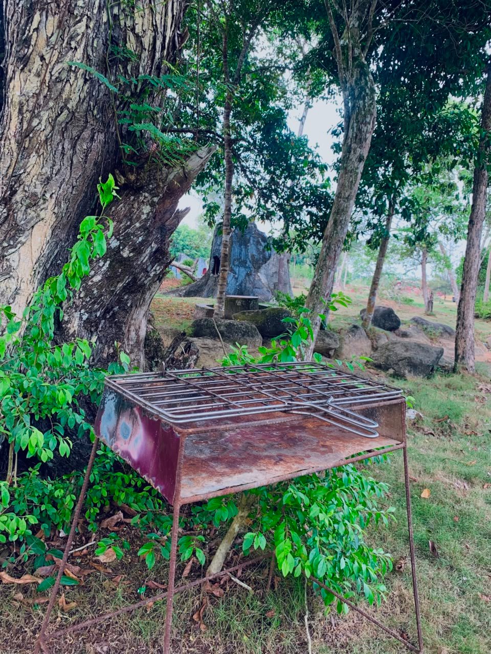 Tungku Bakar Besar
